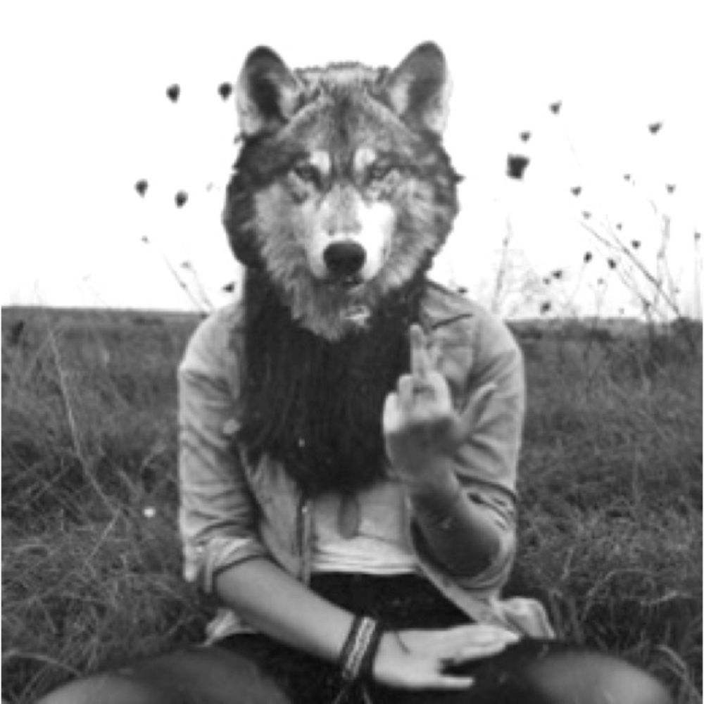 Meet your Posher, Brandy